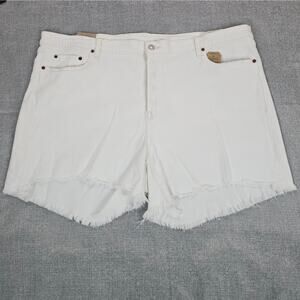 NWT Levis 501 Shorts Women Size 24W Off White Casual Distressed Bone Button Fly